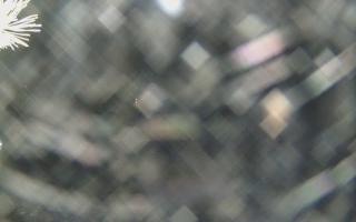 Sromowce Wyżne Flisacy - 13-12-2025 19:28