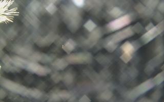 Sromowce Wyżne Flisacy - 13-12-2025 20:06