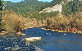 Sromowce Wyżne Flisacy - 18-12-2025 13:15