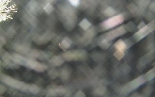 Sromowce Wyżne Flisacy - 18-12-2025 18:34