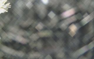 Sromowce Wyżne Flisacy - 18-12-2025 18:42