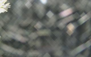 Sromowce Wyżne Flisacy - 18-12-2025 18:49