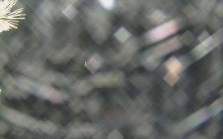 Sromowce Wyżne Flisacy - 18-12-2025 19:05