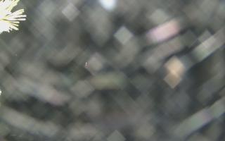 Sromowce Wyżne Flisacy - 18-12-2025 19:27