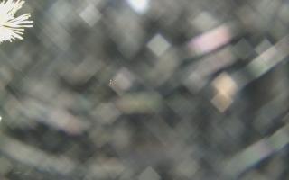 Sromowce Wyżne Flisacy - 18-12-2025 19:50