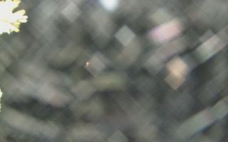 Sromowce Wyżne Flisacy - 18-12-2025 19:58