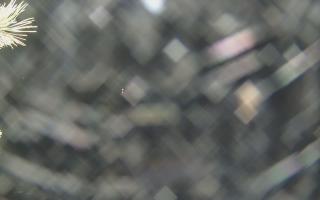 Sromowce Wyżne Flisacy - 18-12-2025 20:36