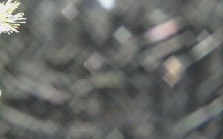 Sromowce Wyżne Flisacy - 18-12-2025 20:43