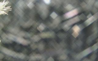 Sromowce Wyżne Flisacy - 18-12-2025 21:06