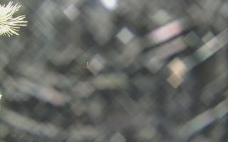 Sromowce Wyżne Flisacy - 18-12-2025 21:52