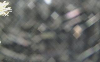 Sromowce Wyżne Flisacy - 18-12-2025 21:59