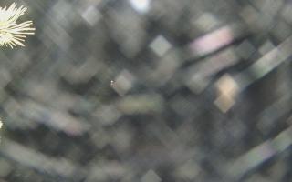 Sromowce Wyżne Flisacy - 18-12-2025 22:07