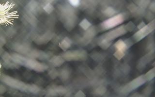 Sromowce Wyżne Flisacy - 18-12-2025 22:15