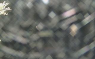 Sromowce Wyżne Flisacy - 18-12-2025 22:22