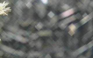 Sromowce Wyżne Flisacy - 18-12-2025 22:30