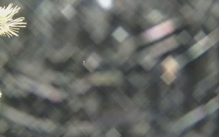 Sromowce Wyżne Flisacy - 18-12-2025 22:37