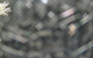 Sromowce Wyżne Flisacy - 18-12-2025 23:15