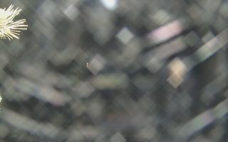 Sromowce Wyżne Flisacy - 18-12-2025 23:30