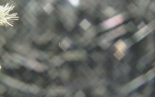 Sromowce Wyżne Flisacy - 18-12-2025 23:46