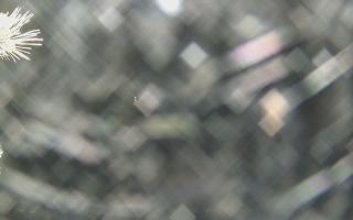 Sromowce Wyżne Flisacy - 18-12-2025 23:53