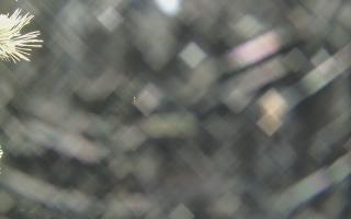 Sromowce Wyżne Flisacy - 19-12-2025 00:08