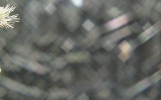 Sromowce Wyżne Flisacy - 19-12-2025 00:39