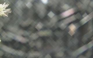 Sromowce Wyżne Flisacy - 19-12-2025 01:24