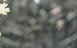 Sromowce Wyżne Flisacy - 19-12-2025 02:56