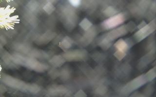 Sromowce Wyżne Flisacy - 19-12-2025 03:03