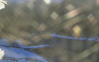 Sromowce Wyżne Flisacy - 01-02-2026 16:02