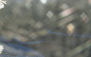 Sromowce Wyżne Flisacy - 01-02-2026 16:10