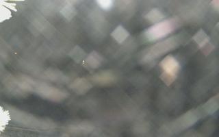 Sromowce Wyżne Flisacy - 01-02-2026 16:25