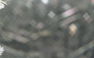 Sromowce Wyżne Flisacy - 01-02-2026 16:33