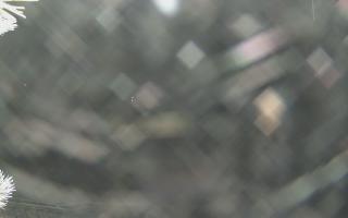 Sromowce Wyżne Flisacy - 01-02-2026 17:03