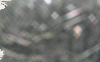 Sromowce Wyżne Flisacy - 01-02-2026 17:34