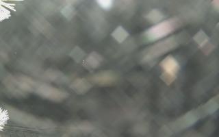 Sromowce Wyżne Flisacy - 01-02-2026 17:49