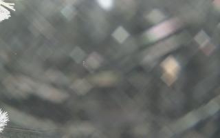 Sromowce Wyżne Flisacy - 01-02-2026 18:04