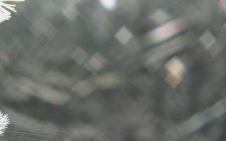 Sromowce Wyżne Flisacy - 01-02-2026 18:12