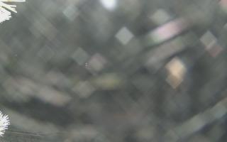 Sromowce Wyżne Flisacy - 01-02-2026 18:19