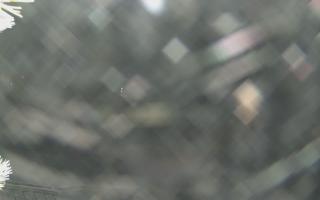 Sromowce Wyżne Flisacy - 01-02-2026 18:27