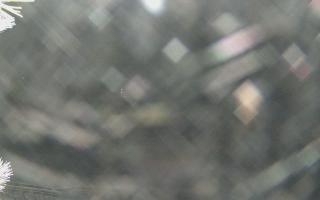 Sromowce Wyżne Flisacy - 01-02-2026 18:34