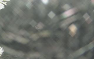 Sromowce Wyżne Flisacy - 01-02-2026 18:42