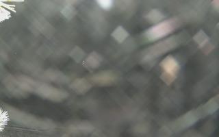 Sromowce Wyżne Flisacy - 01-02-2026 18:57