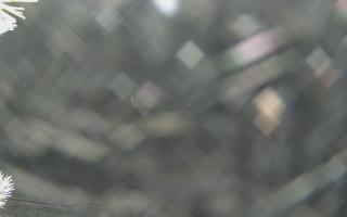 Sromowce Wyżne Flisacy - 01-02-2026 19:05