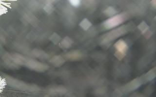 Sromowce Wyżne Flisacy - 01-02-2026 19:12