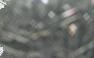 Sromowce Wyżne Flisacy - 01-02-2026 19:20