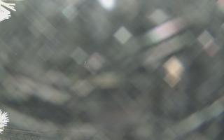 Sromowce Wyżne Flisacy - 01-02-2026 19:28