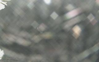 Sromowce Wyżne Flisacy - 01-02-2026 19:35