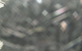 Sromowce Wyżne Flisacy - 01-02-2026 19:43