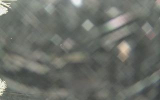 Sromowce Wyżne Flisacy - 01-02-2026 19:50